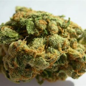 Jack Herer
