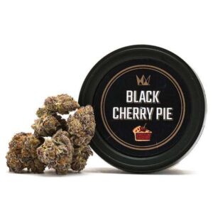 Black cherry Pie strain black cherry strain, cherry pie strain indica or sativa cherry pie leafly black cherry pies cherry pie og black cherry pie strain cherry pie strain sativa or indica cherry pie flower blackberry cherry strain cherry pie strain info cherry pie bud, bcp strain, cherry pie thc, cherry pie feminized seeds buy cherry pie seeds, black cherry pie seeds black cherry punch pyramid seeds black cherries strain black cherry strains cherry pie strain cherry pie strain cherry pie cherry pie indica or sativa cherry pie strain effects cherry pie strain flowering time cherry indica strain cherry pie og strain reviews cherry pie og strain allbud cherry pie kush breath strain cherry pie strain near me