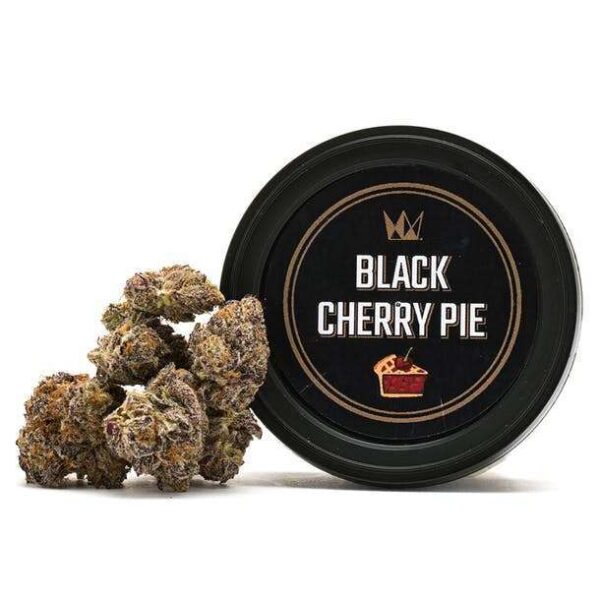Black cherry Pie strain black cherry strain, cherry pie strain indica or sativa cherry pie leafly black cherry pies cherry pie og black cherry pie strain cherry pie strain sativa or indica cherry pie flower blackberry cherry strain cherry pie strain info cherry pie bud, bcp strain, cherry pie thc, cherry pie feminized seeds buy cherry pie seeds, black cherry pie seeds black cherry punch pyramid seeds black cherries strain black cherry strains cherry pie strain cherry pie strain cherry pie cherry pie indica or sativa cherry pie strain effects cherry pie strain flowering time cherry indica strain cherry pie og strain reviews cherry pie og strain allbud cherry pie kush breath strain cherry pie strain near me