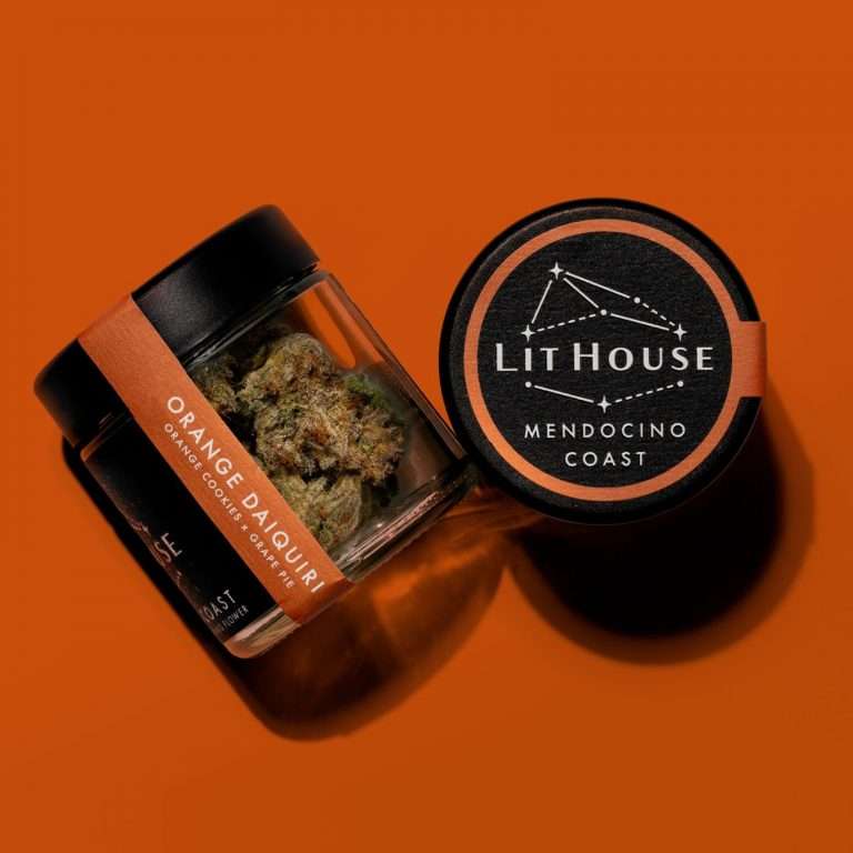 Orange Daiquiri - Image 4